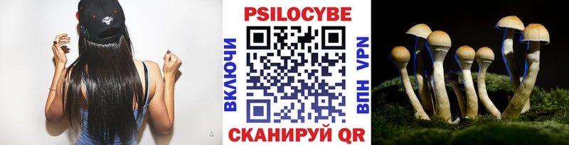 Псилоцибиновые грибы мицелий  Цимлянск 